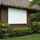 Outdoor tropical movie screen with vibrant hibiscus flowers