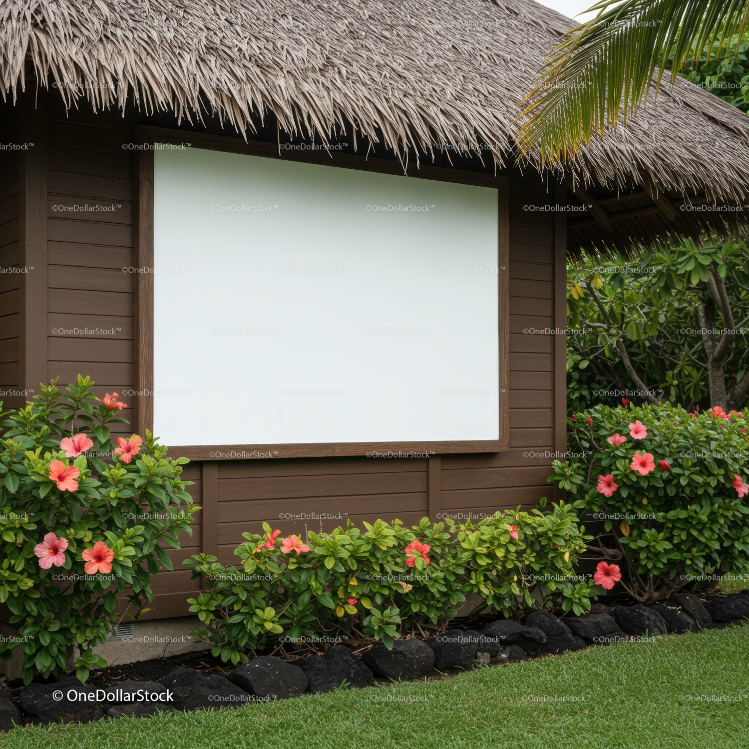 Outdoor tropical movie screen with vibrant hibiscus flowers