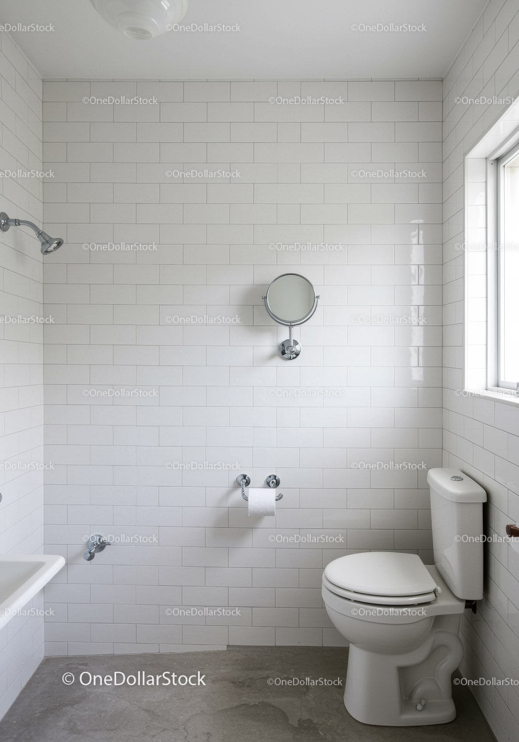 Modern White Bathroom with Toilet and Shower Head