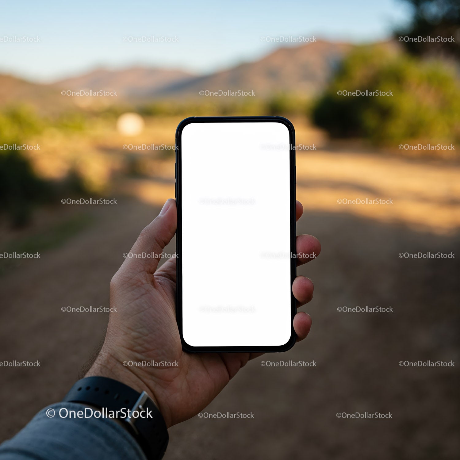 Ręka trzymająca smartfon z pustym ekranem na wiejskiej drodze gruntowej