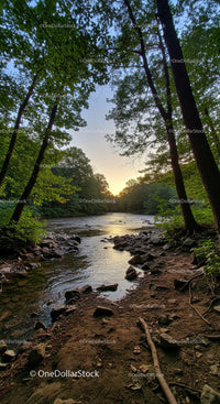 Serene forest river flowing at sunset with rocky shore