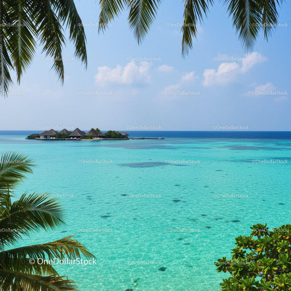 Tropical Overwater Bungalows and Crystal Clear Water View