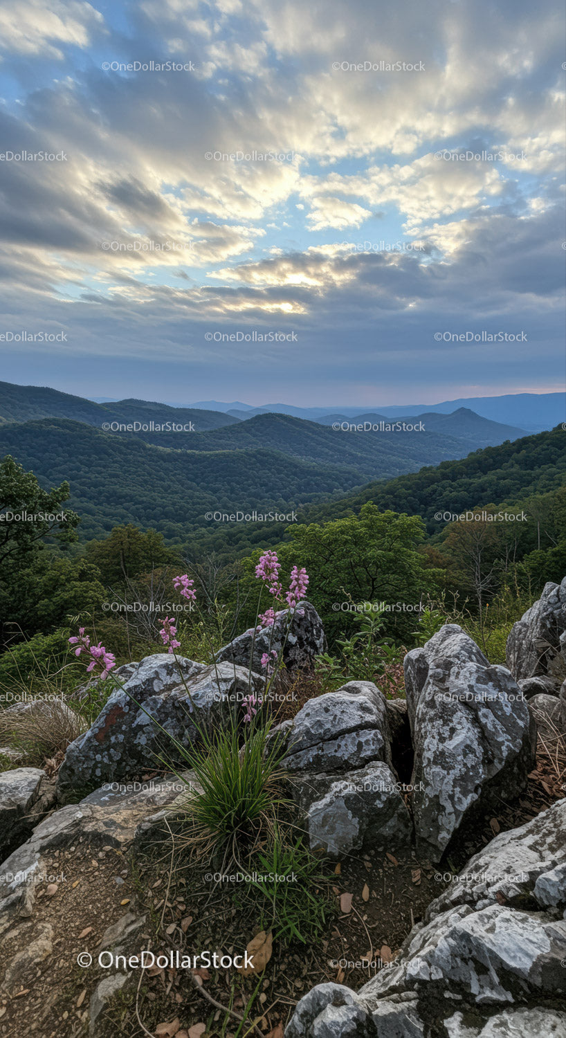 Kwiaty polne kwitnące na Rocky Ridge z widokiem na zalesione góry