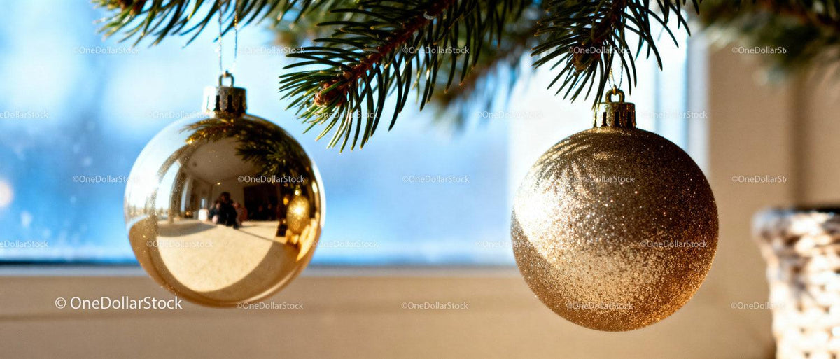 Gold Christmas Baubles Hanging on Fir Tree Branch