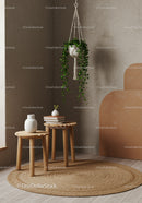 Indoor Greenery with Hanging Plant and Minimalist Wood Stools