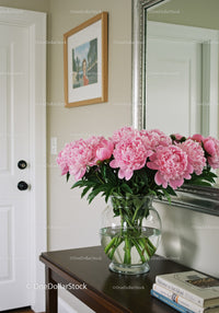 Pink Peony Flowers in Glass Vase on Dark Wooden Table