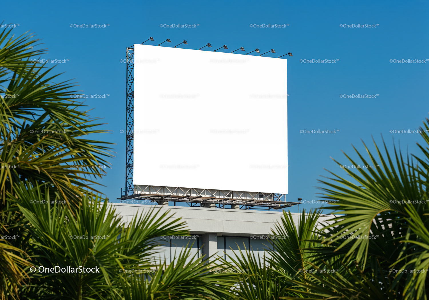 Blank Outdoor Billboard Above Building Among Palm Trees