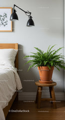 Green Fern in Terracotta Pot Above Wooden Stool in Cozy Bedroom