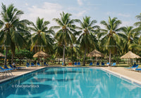 Tropical Resort with Swimming Pool and Palms beneath Blue Sky
