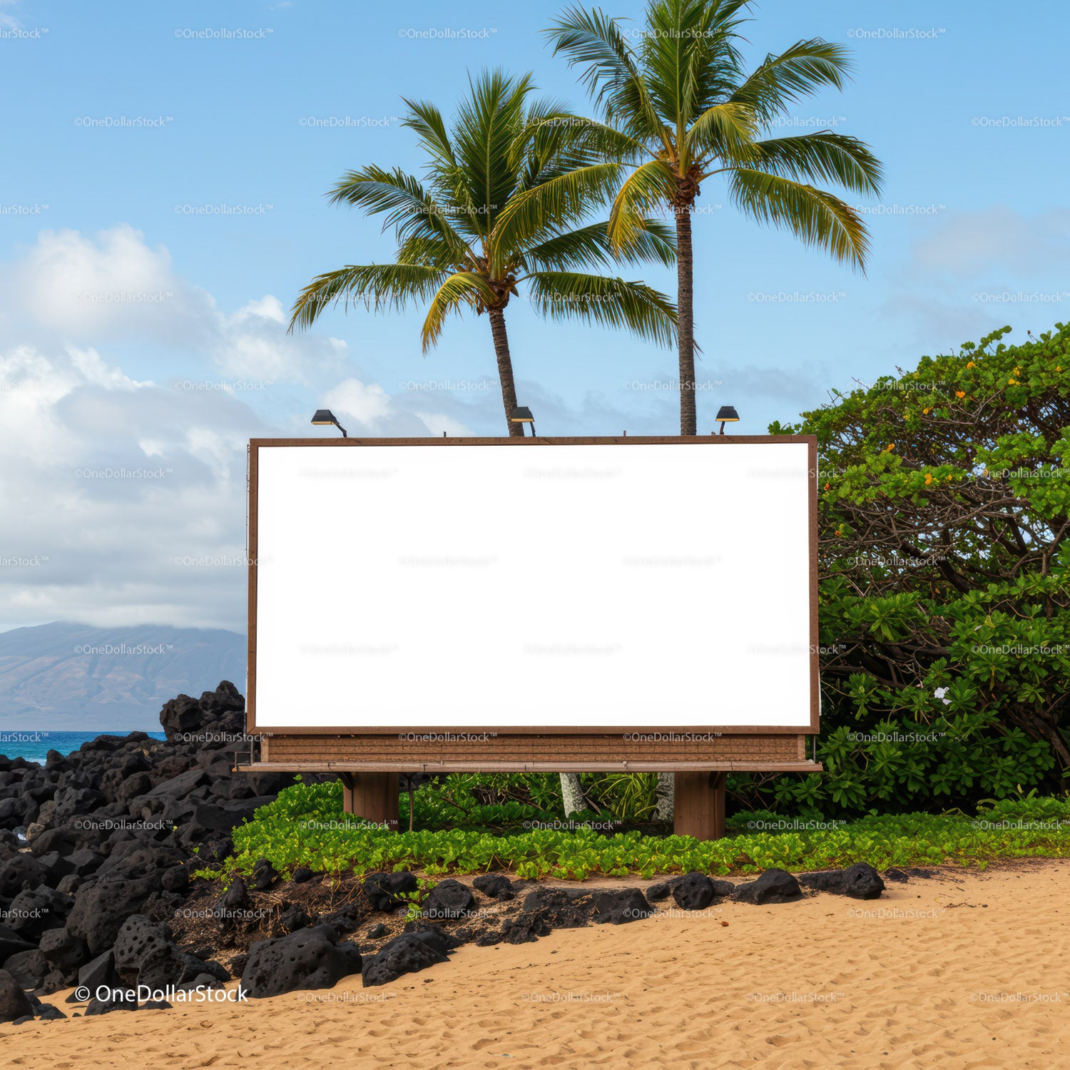 Blank Billboard on Tropical Beach with Palm Trees