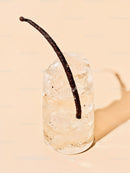 Vanilla Bean Embedded in Transparent Ice Cube