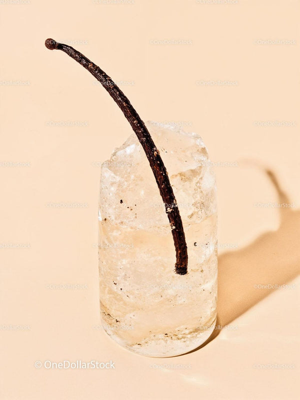 Vanilla Bean Embedded in Transparent Ice Cube