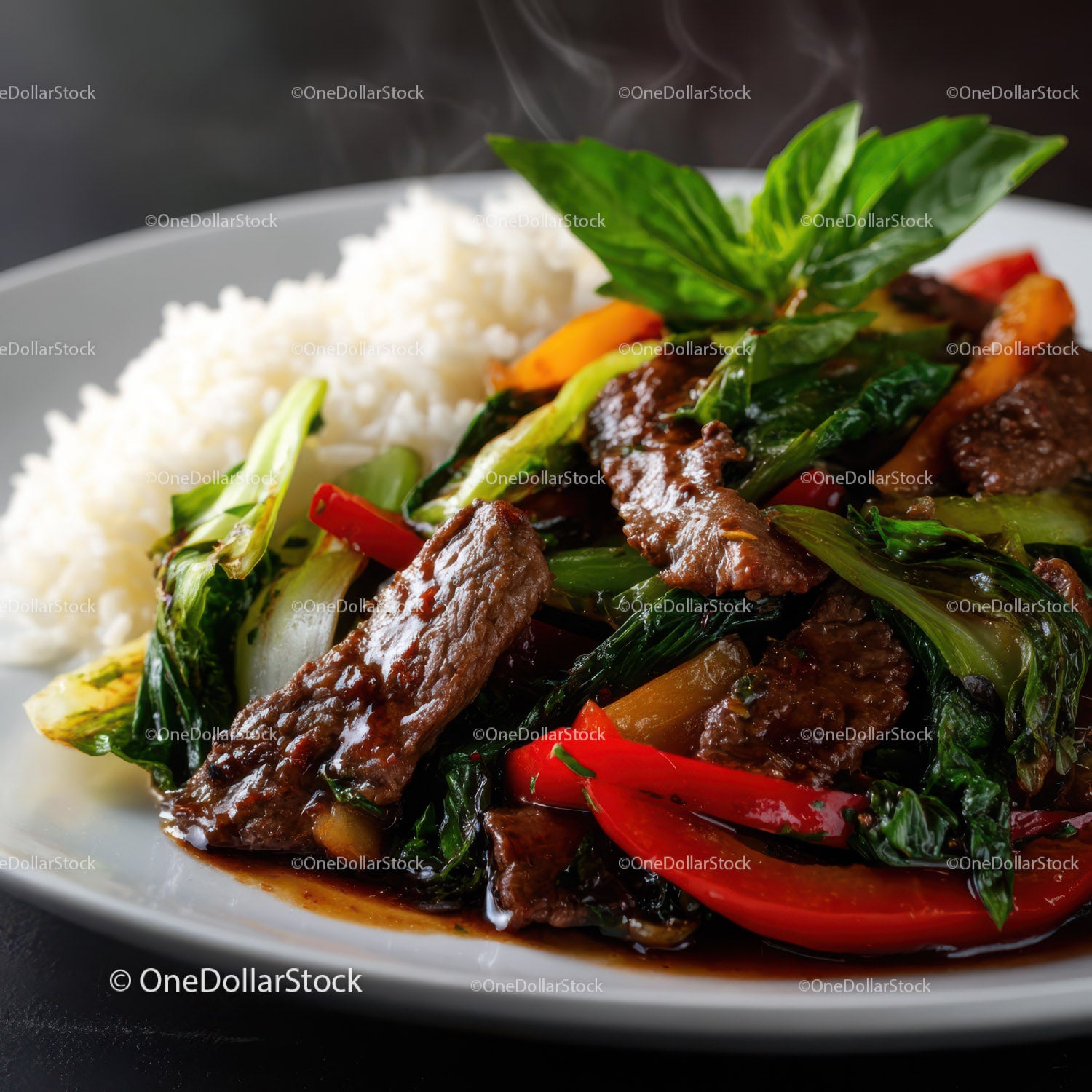 Beef and Vegetable Stir-Fry with White Rice on a Plate