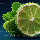 Close-Up of Fresh Lime with Mint Leaf and Water Droplets