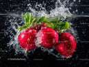 Fresh Red Radishes Splashing into Water
