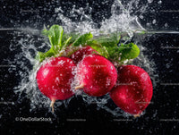 Fresh Red Radishes Splashing into Water