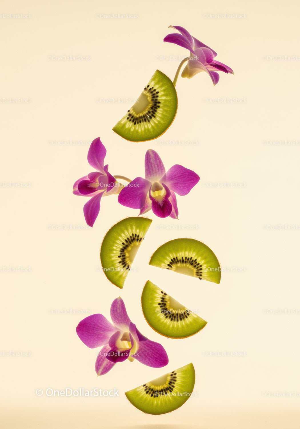 Świeże plasterki kiwi z żywymi kwiatami orchidei na beżowym tle
