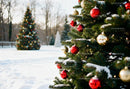 Decorated Christmas Tree with Snowy Winter Landscape