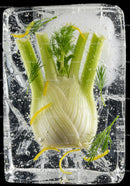 Fresh Fennel Bulb Herb and Zest Frozen in Ice Block