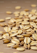 Close up of oat grains and kernels on surface