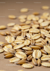 Close up of oat grains and kernels on surface