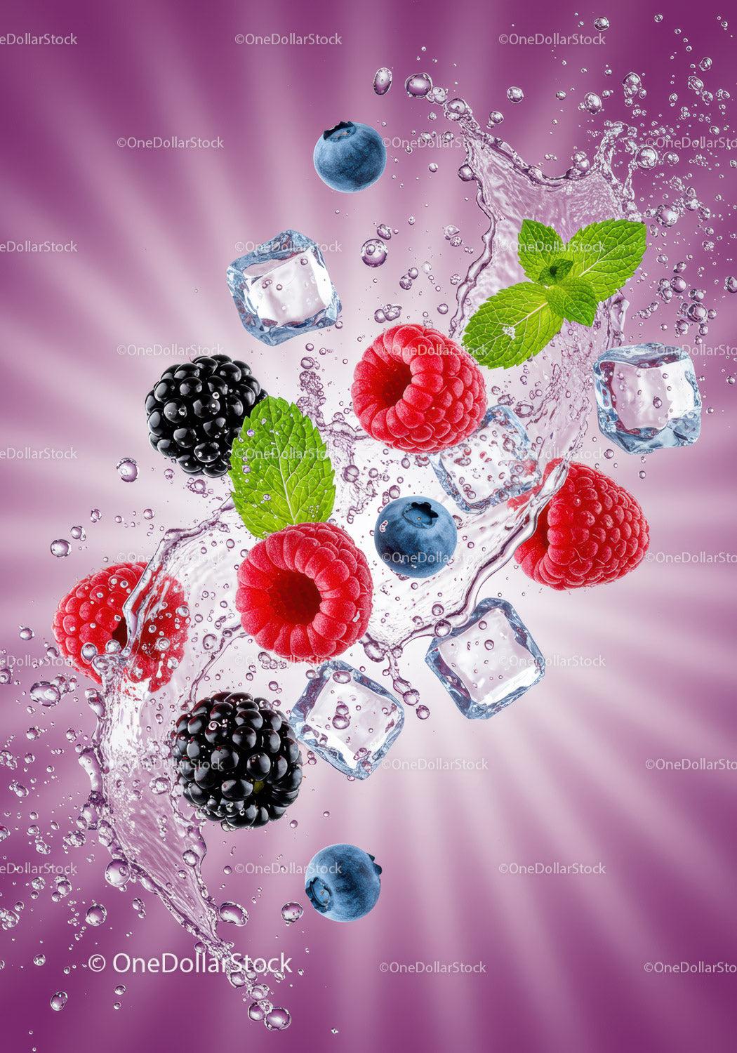 Fresh Mixed Berries with Ice Splash and Mint Leaves