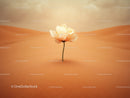Delicate white flower blooming in vast desert sand