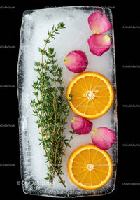 Fresh Orange Slices and Herb Sprigs Frozen in Ice
