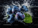 Fresh Blueberries Splashing in Water with Green Leaf Context