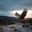 Majestic Bald Eagle Flying Over Rocky Terrain at Sunset