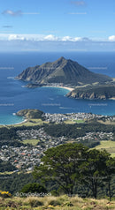 Scenic Mountain and Ocean View with Lush Greenery and Blue Waters