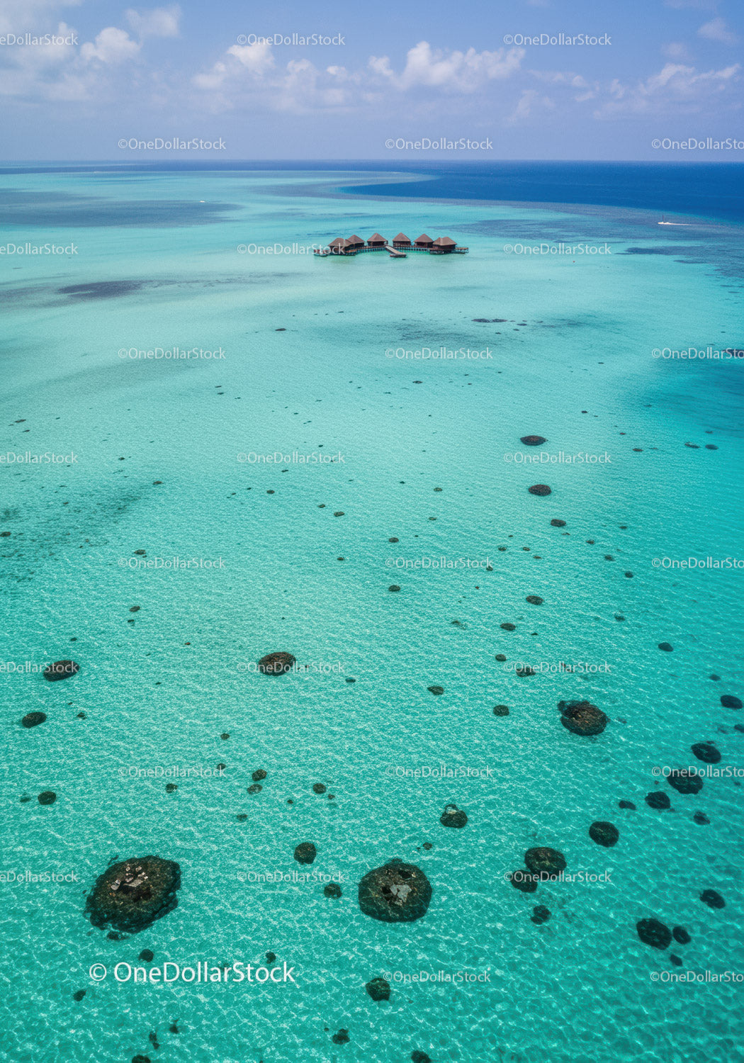 Overwater Bungalows Surrounded by Turquoise Ocean in Exotic Paradise