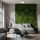 Modern Bedroom with Green Plant Wall and Cozy Decor