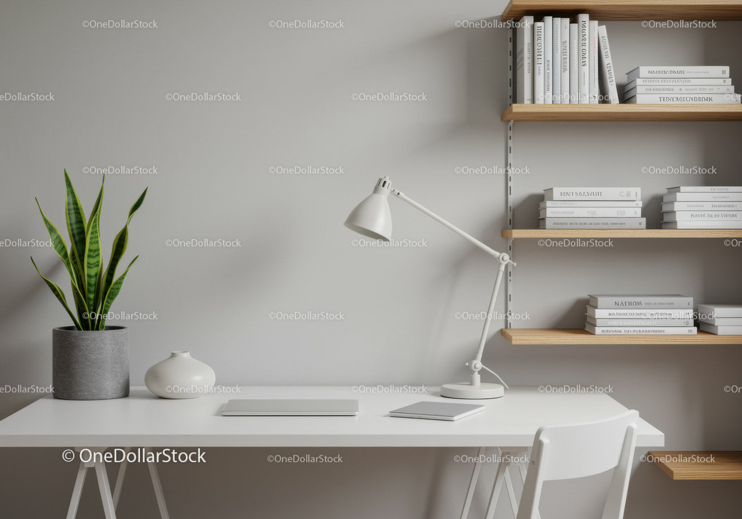 Modern Minimalist Home Office with Green Snake Plant and Wooden Shelves