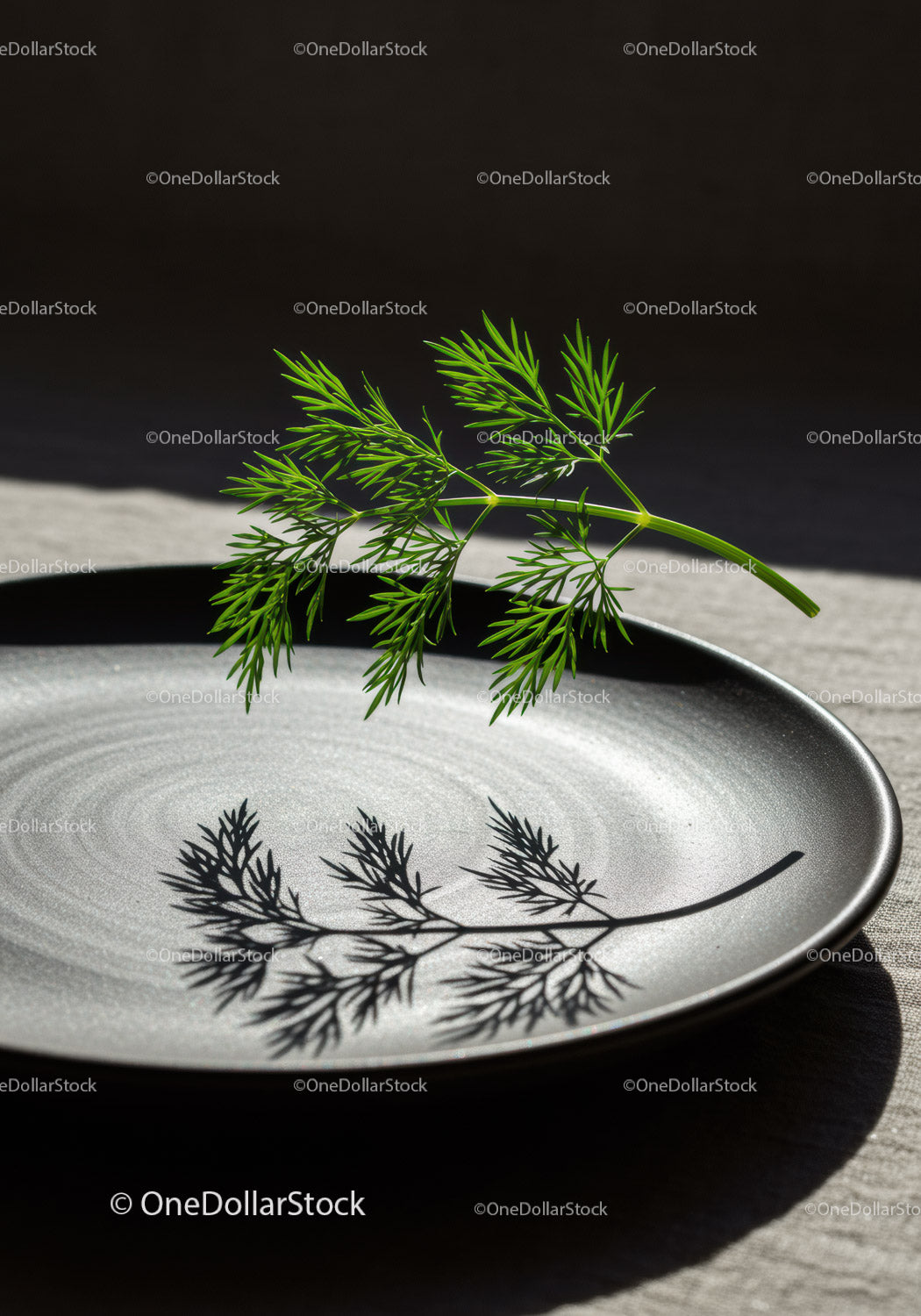 Fresh dill sprig casting shadow on black plate