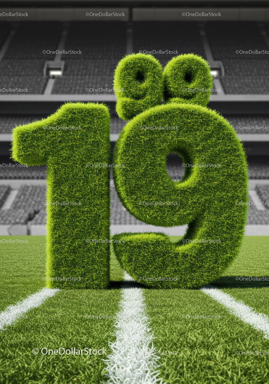 Grass Covered 19th Birthday Number on Football Field