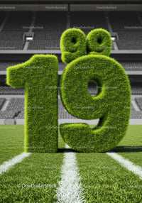 Grass Covered 19th Birthday Number on Football Field