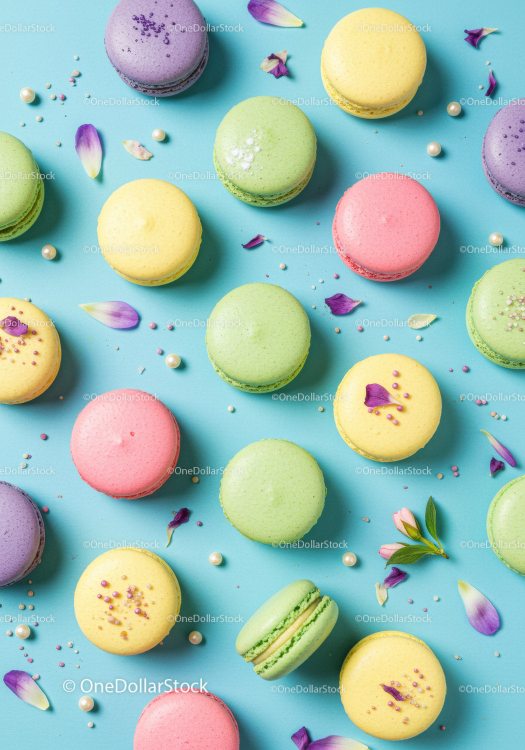 Colorful French Macarons on Light Blue Background