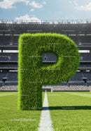 Green Grass Letter P Standing on Soccer Field