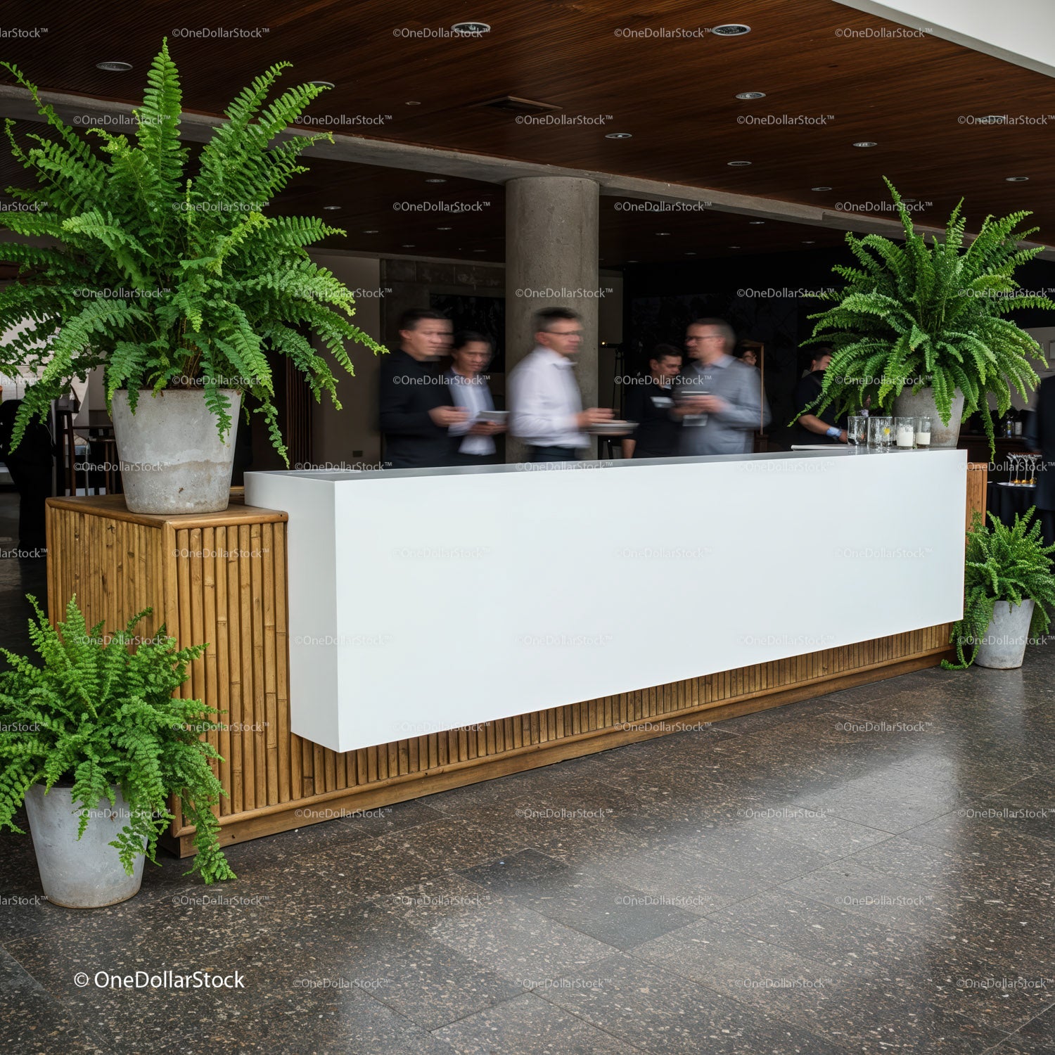 Modern reception desk with vibrant green plants in office lobby