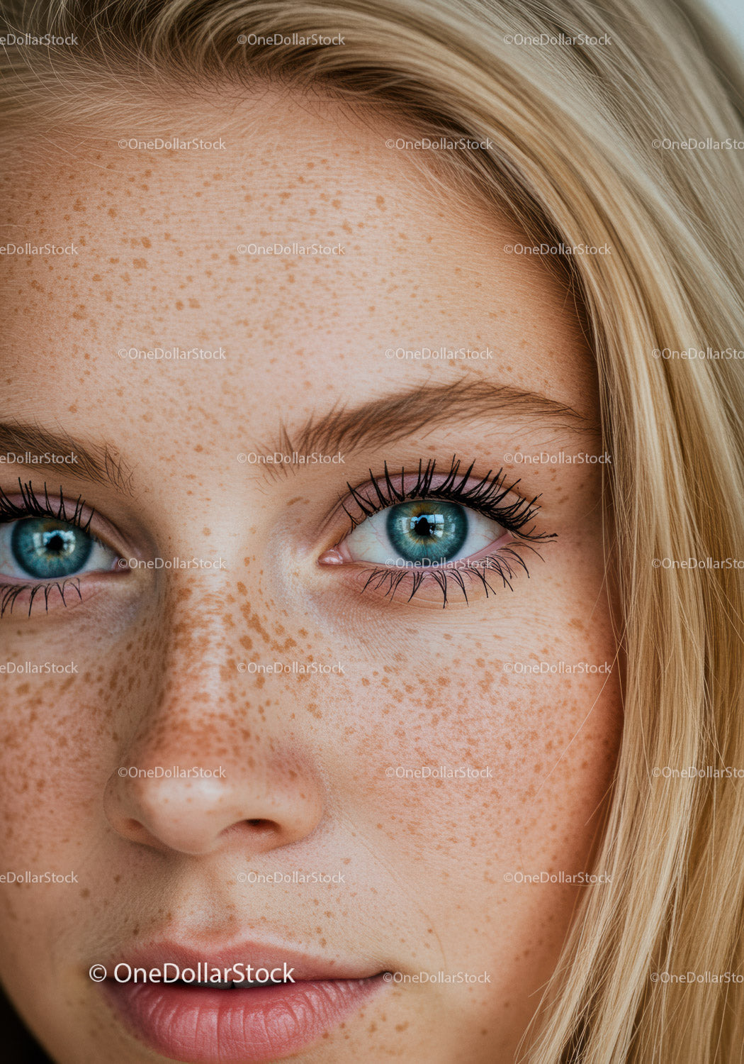 Close up of blue eyed woman with natural freckles