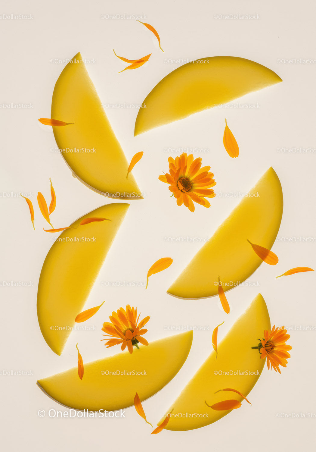 Świeże żółte plastry mango z kwiatami nagietka
