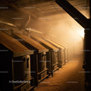 Industrial Grain Storage Facility with Wheat Silos