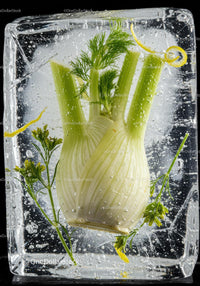 Fresh fennel and herbs frozen in clear ice cube