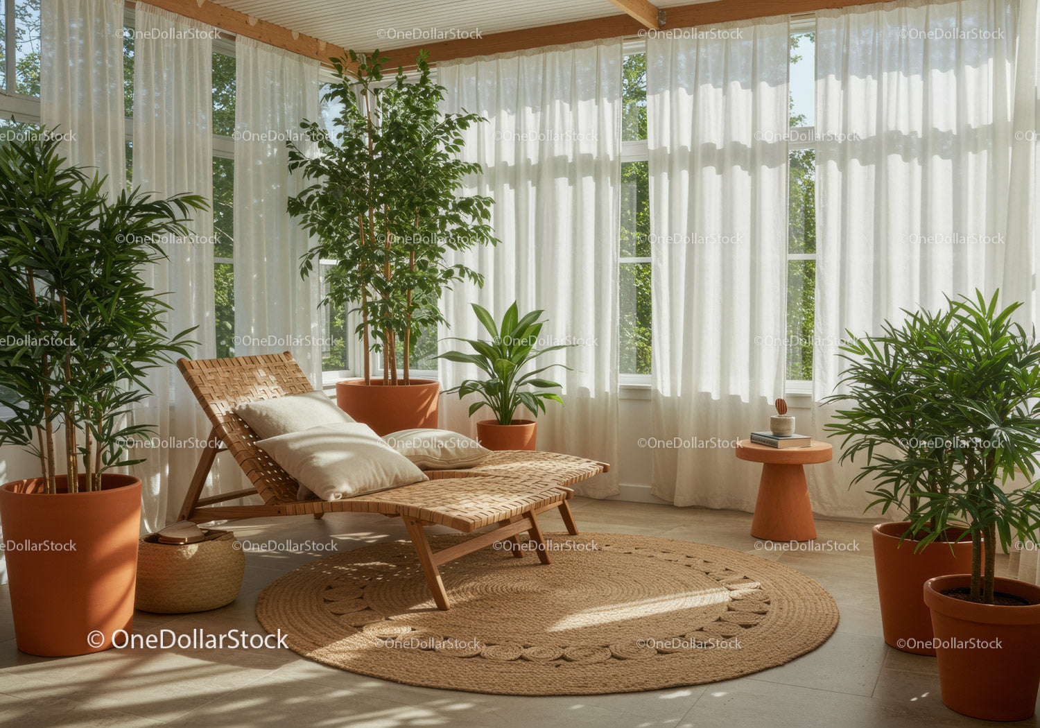 Sunlit Indoor Lounge with Green Plants and Natural Decor