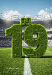 Grass covered 19 number on soccer field under bright sky