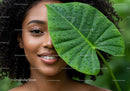 Close-up of a Smiling Woman with Water-Dewed Tropical Leaf in Jungle Setting