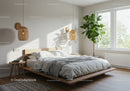 Minimalist bedroom with natural light and green plant