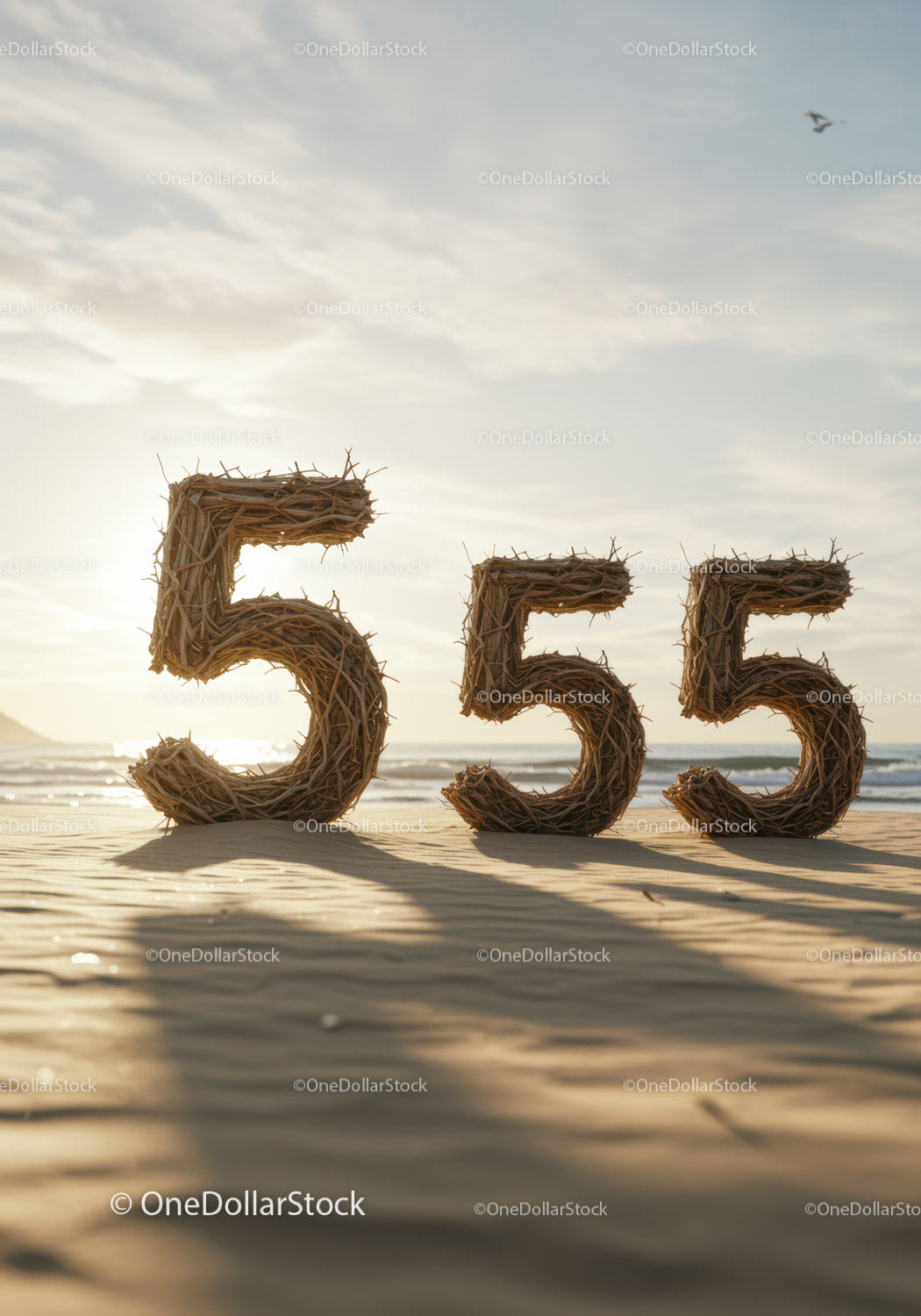 Naturalna wiklina numer 555 na piaszczystej plaży o wschodzie słońca