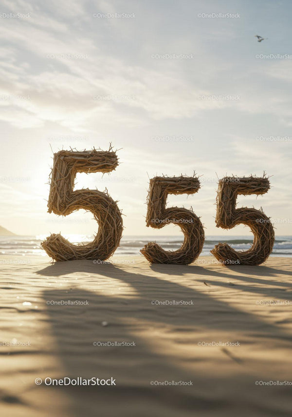 Natural wicker number 555 on sandy beach at sunrise